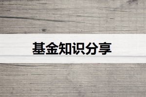 中欧基金管理公司彭瑞简历